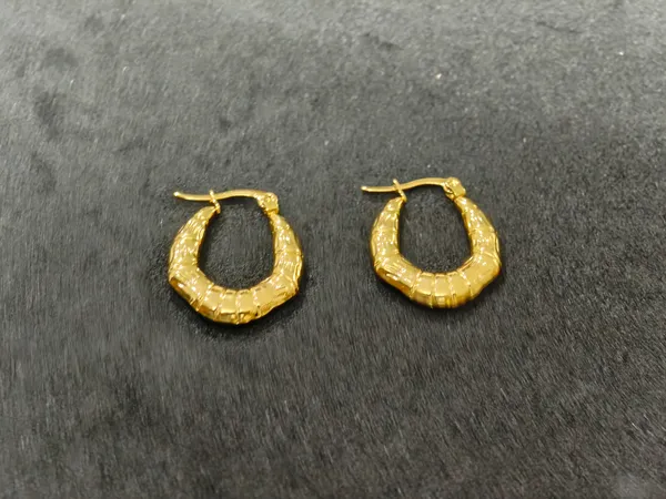 Gold_Stainless_Steel_Earrings_For_Women