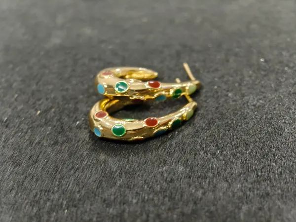 Multicolour_Stainless_Steel_Earrings_For_Women