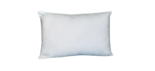 Blossoms_100%_cotton_embroidered_Cushion_cover_12x18_inch_._Set_of_1_.