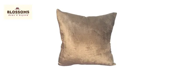 Off_White_Velvet_Cushion_With_All_Over_Zari_Embroidery