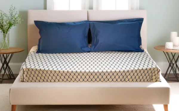 Blue_Premium_Cotton_Printed_King_Size_Bedsheets_With_Engineered_Pillows_(500_Tc)