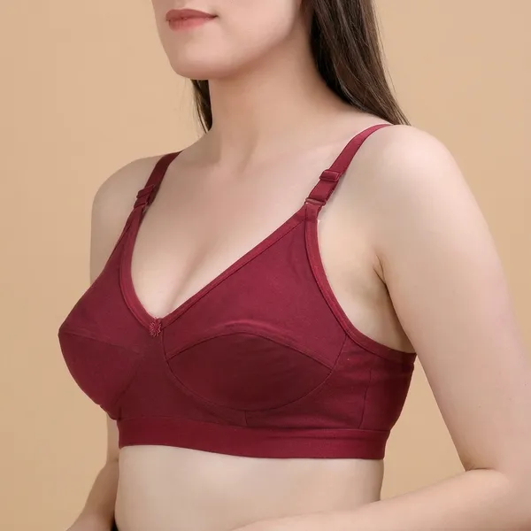 Pack_Of_2_Maroon_Premium_Hosiery_Non_Wired_Bra_For_Women