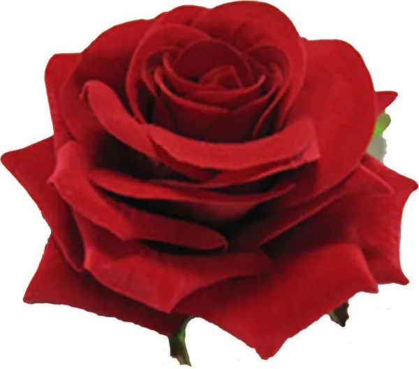 Red_Rose_Flower_Hair_Clip