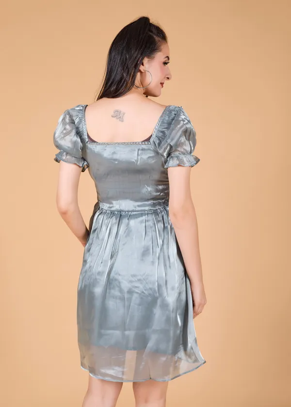 Grey_Premium_Grey_Embellished_Dress_For_Women