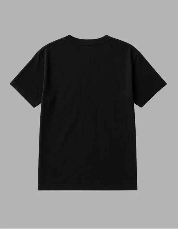 Black_Luffy_X_Sunny_Printed__Regular_Fit_T-Shirt_|_For_Unisex