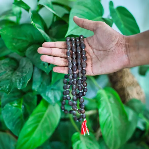 Kamal_Gatta_Japa_Mala_Natural_108_1_Beads_Lotus_Seed_Mala_Laxmi_Pooja_Mala_Meditation_Spritual_Practises