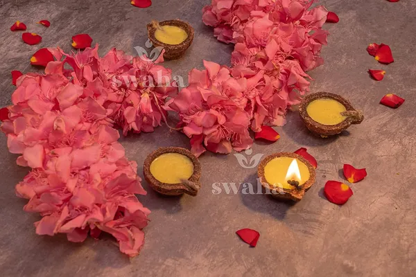 Panchagavya_Diya_With_Ghee_For_Puja_11Pcs_Havan_Samagri