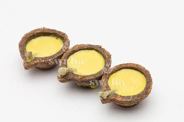 Panchagavya_Diya_With_Ghee_For_Puja_11Pcs_Havan_Samagri
