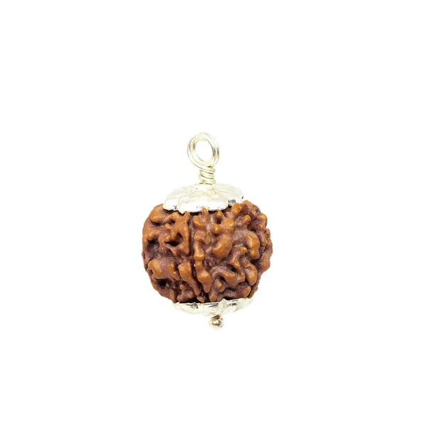 5_Mukhi_Rudraksha_Pendant_Naturlal_Lab_Certified_Rudraksha_Beads_For_A_Good_Peace_Of_Mind