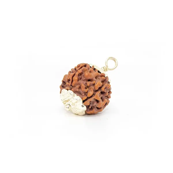 5_Mukhi_Rudraksha_Pendant_Naturlal_Lab_Certified_Rudraksha_Beads_For_A_Good_Peace_Of_Mind