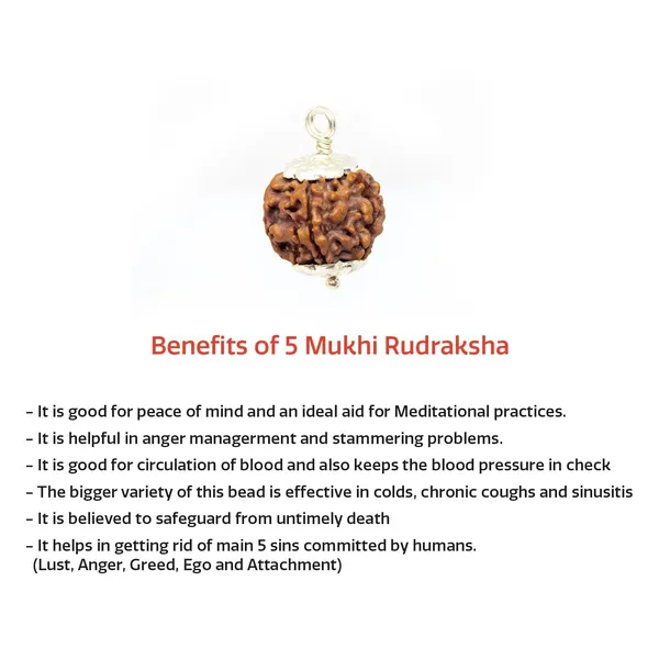 5_Mukhi_Rudraksha_Pendant_Naturlal_Lab_Certified_Rudraksha_Beads_For_A_Good_Peace_Of_Mind