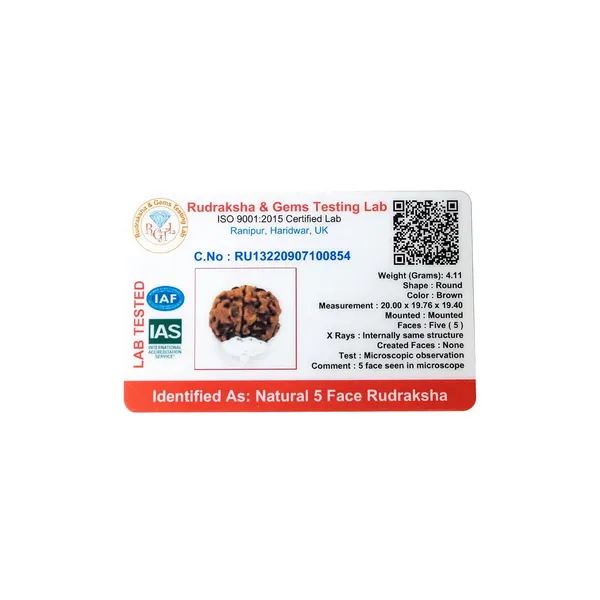5_Mukhi_Rudraksha_Pendant_Naturlal_Lab_Certified_Rudraksha_Beads_For_A_Good_Peace_Of_Mind