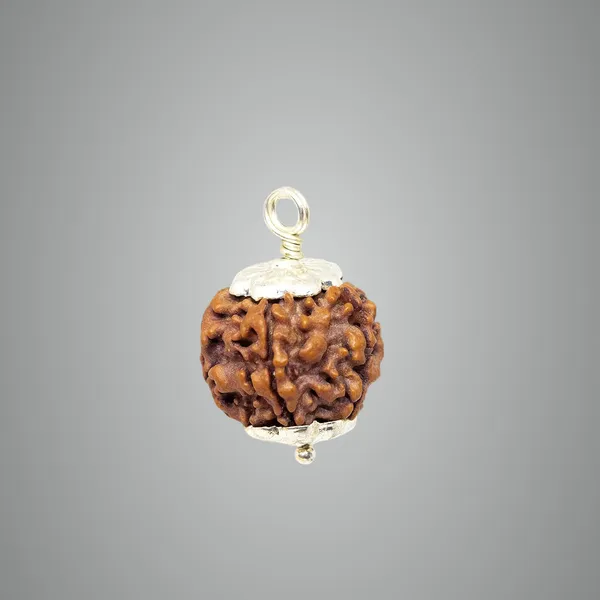 5_Mukhi_Rudraksha_Pendant_Naturlal_Lab_Certified_Rudraksha_Beads_For_A_Good_Peace_Of_Mind