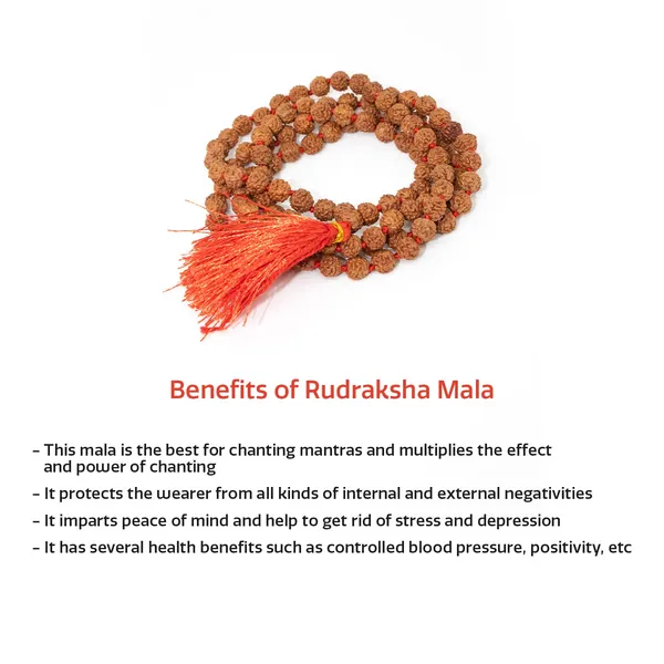 5_Mukhi_Lab_Certified_Rudraksha_Mala_Original_108_1_Beads_Jap_Mala_Perfect_For_Wearing_For_Both_Men_Women_Used_For_Meditation