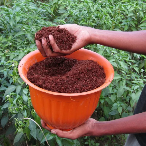 COIR_GARDEN_-_Coco_PEAT_Powder_-_1_KG_Coir_Pith_Loose_and_Wet_Ready_to_use_Potting_Mixture_for_Plants_for_Home_Gardening_-_Indoor_Outdoor_Plants.