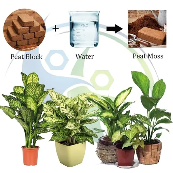 Pack_Of_2_COIR_GARDEN_-_Cocopeat_Block_1_KG_-_Expands_Upto_5_kg_-_Soil_Manure_Potting_Mixture_for_Terrace_and_Kitchen_Gardening_|_(Combo_Pack)