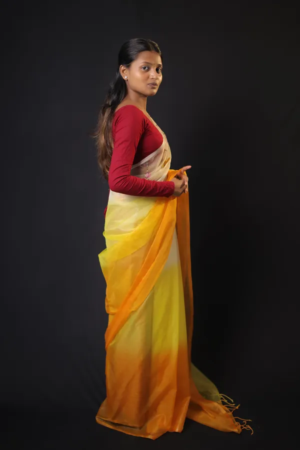 Yellow_Triple-Shade_Organza_Saree_|_Sun-Kissed_Handwoven_Bhagalpuri_Elegance_with_Exquisite_Thread_Embroidery_–_Hatha_Karagha
