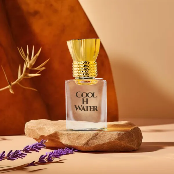 Fragrance and Fashion Cool H Water Premium Attar Of 10Ml Price in