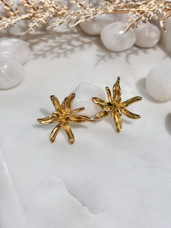 Elegant_Design_Every_Day_Earrings_For_Women