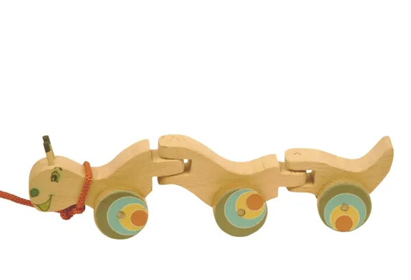 Handcrafted_Wooden_Wriggle_Caterpillar_Pull_Along_Toy_with_a_Flexible_360_Degree_Body_|_Realistic_Collectible_Toy_for_Fun_|_Natural_Push_&_Pull_|_Ideal_for_Kids_2_Year_&_Above