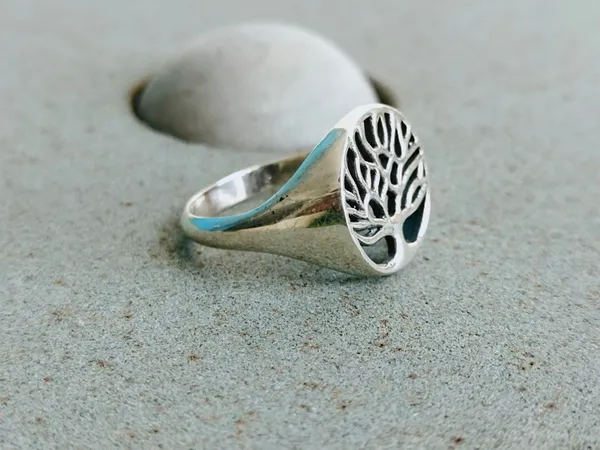 Silver_&_Silver_Sterling_Silver_925_Premium_&_Elegant_Boho_Ring_For_Girls_&_Women