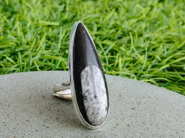 Silver_&_Black_&_White_Sterling_Silver_925_Premium_&_Elegant_Designer_Ring_For_Girls_&_Women