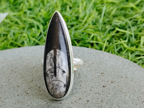Silver_&_Black_&_White_Sterling_Silver_925_Premium_&_Elegant_Designer_Ring_For_Girls_&_Women