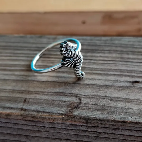 Silver_&_Silver_Sterling_Silver_925_Premium_&_Elegant_Boho_Ring_For_Girls_&_Women