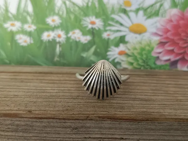 Silver_&_Silver_Sterling_Silver_925_Premium_&_Elegant_Boho_Ring_For_Girls_&_Women