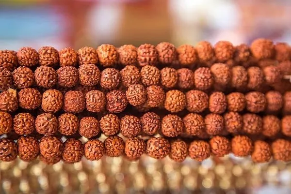 Green_Spiritual_Natural_8_Mukhi_Rudraksha_Rosry_Mala_108_1_Bead