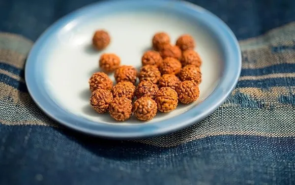 Green_Spiritual_Natural_9_Mukhi_Rudraksha_Rosary_Mala_108_1_Bea