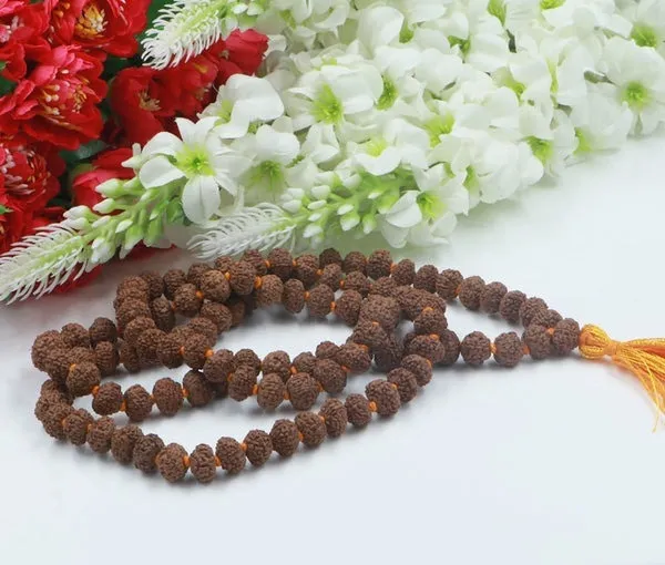 Green_Spiritual_Natural_Original_11_Mukhi_Rudraksha_Mala_108_1