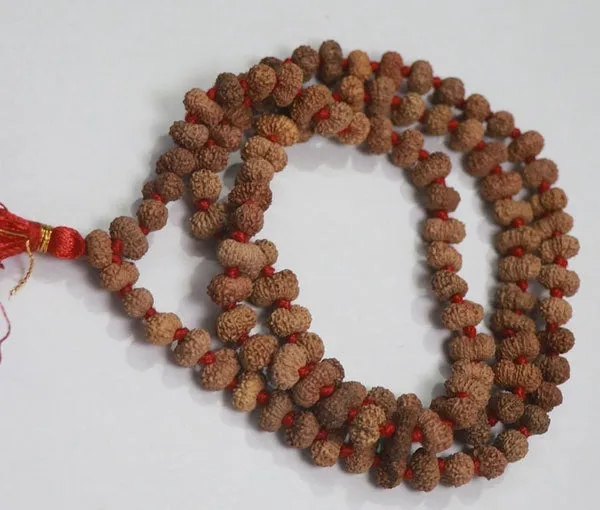 Green_Spiritual_Natural_Original_14_Mukhi_Rudraksha_Mala_108_1