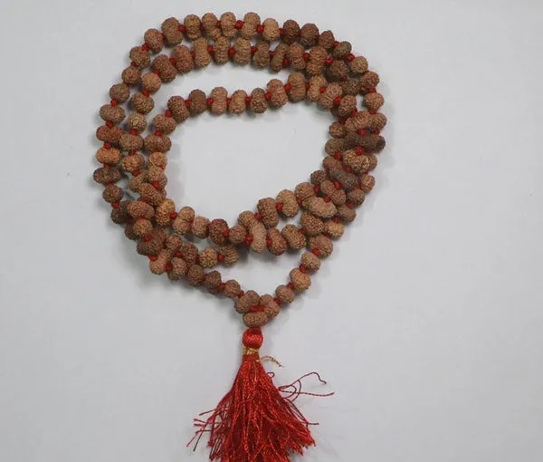 Green_Spiritual_Natural_Original_14_Mukhi_Rudraksha_Mala_108_1
