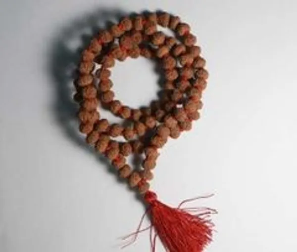 Green_Spiritual_10_Mukhi_Natural_Rudraksha_Rosary_Mala_108_1_Be