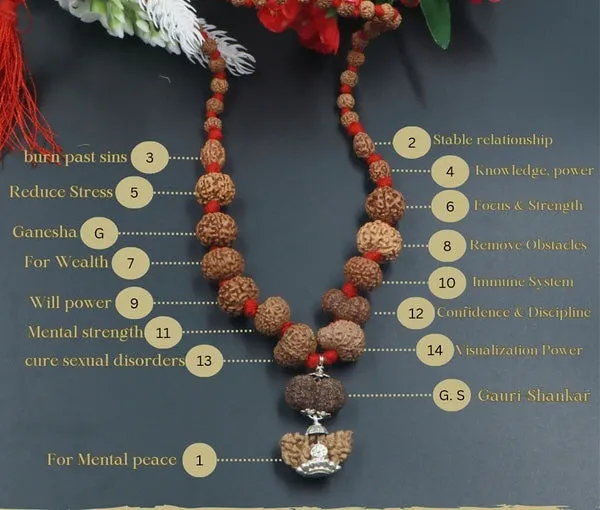 Original_1_To_14_Mukhi_Combination_Mukhi_Rudraksha_Mala_Brass_Plated_Brass_Chain
