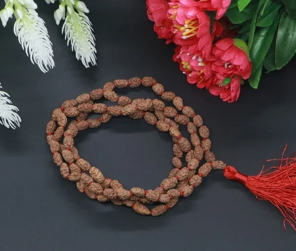 Green_Spiritual_Natural_Original_2_Mukhi_Rudraksha_Mala_108_1
