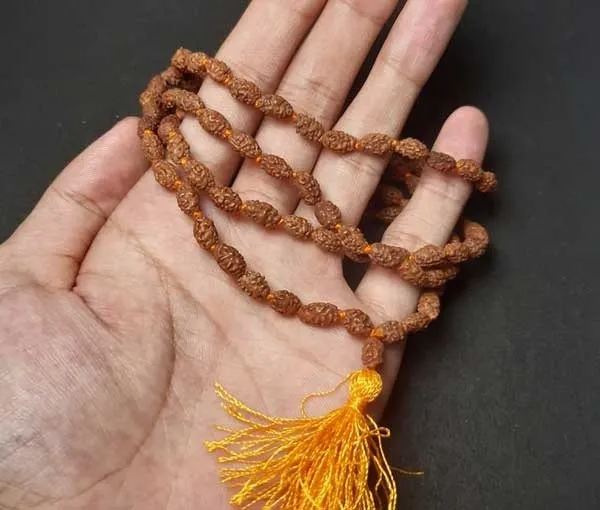 Green_Spiritual_Natural_Original_2_Mukhi_Rudraksha_Mala_108_1
