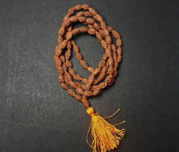 Green_Spiritual_Natural_Original_2_Mukhi_Rudraksha_Mala_108_1