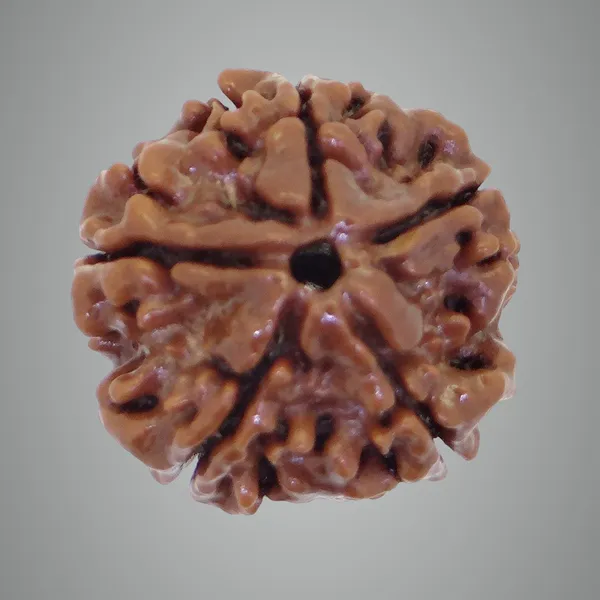 4_Mukhi_Rudraksha_Bead,_Brown,_Round,_With_Certificate,_For_Meditation_And_Spiritual_Practice