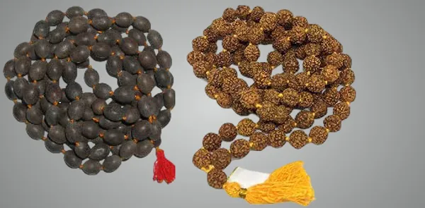 Combo_Of_Mala_Original_108+1_(Beads)_Natural_Thamara_(Kamal_Gatta_Mala),_Rudraksha_5_Mukhi_Mala_(9_Mm)_For_|Wearing||Chanting||Pooja||Meditation|