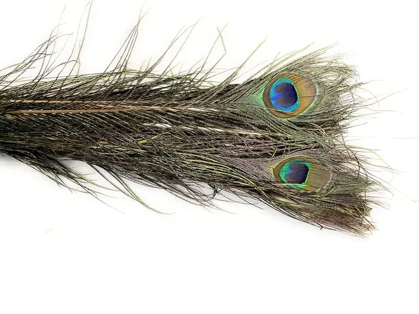 Bunch_Of_10_Real_Peacock_Feathers/Moor_Pankha_Broom/Jhadu_For_Mandir_Cleaning/Suitable_For_Nazar_Suraksha