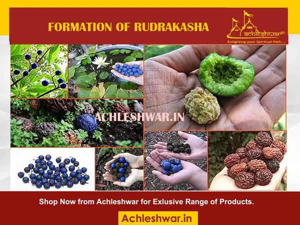 Original_Lab_Certified_Nepali_108+1_(Beads)_Rudraksha_5_Mukhi_Mala_Brown,Unisex_Rosary_With_Lab_Certificate_(9Mm)