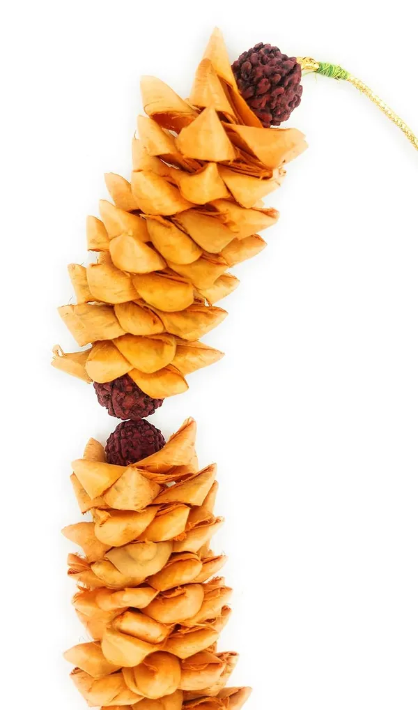 Sandalwood_Along_With_5_Mukhi_Rudraksh_Beads_Scented_Photo_Frame_Mala_|_Chandan_Scented_Wooden_Chaal_|_Garland_For_Photos_Of_Loved_Ones_|_Garland_For_God|,(18_Inch)(Size_Adjustable)_(18)
