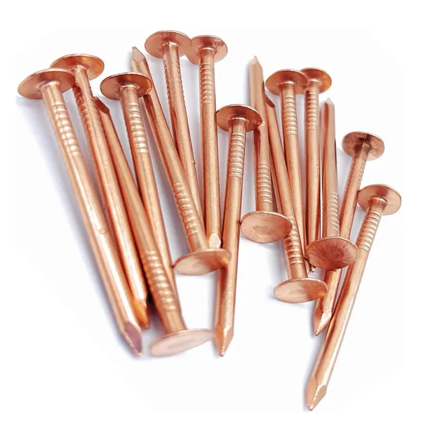 Pure_Copper_Nails_For_Vastu,_10_Pieces,_Traditional_Pooja_And_Energy_Correction
