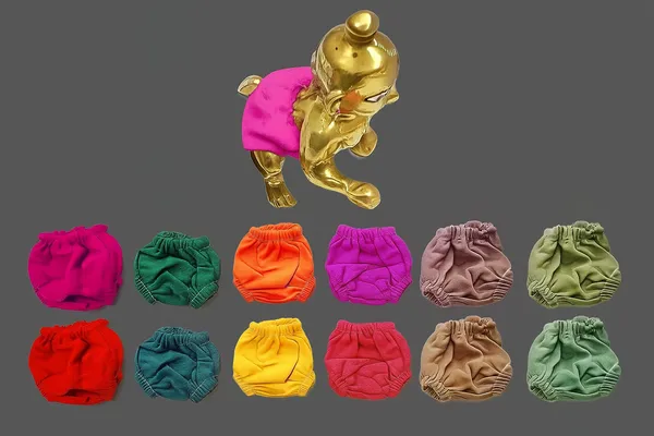 Laddu_Gopal_Ji_Nappy,_Panty,_For_Kanha_Ji_Size_1,_Pack_Of_12