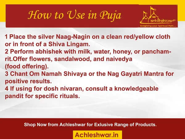 Small_Size_Pure_Silver_Nag_Nagin_Joda,_Chandi_Naag_Nagin_Pair_For_Kaal_Sarp_Dosh_And_Vastu_(3Cm)
