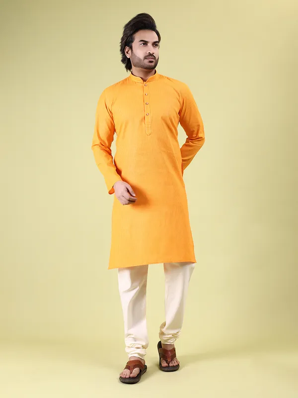 Mens_Cotton_Striped_with_Printex_Kurta