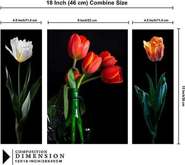 Set_Of_3_Scenery_3D_Framed_Wall_Paintings_|_For_Home_Decoration_|_45X30_Cm