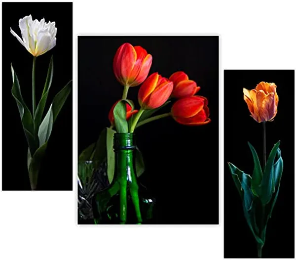 Set_Of_3_Scenery_3D_Framed_Wall_Paintings_|_For_Home_Decoration_|_45X30_Cm
